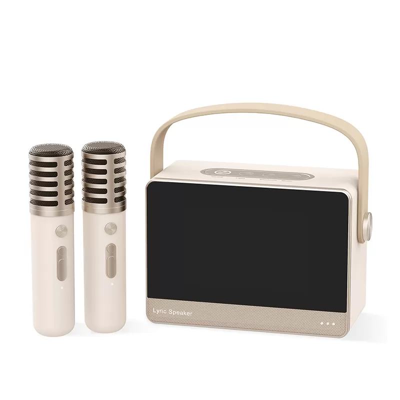 WH-J13 Karaoke With Lyrics Wireless Speaker