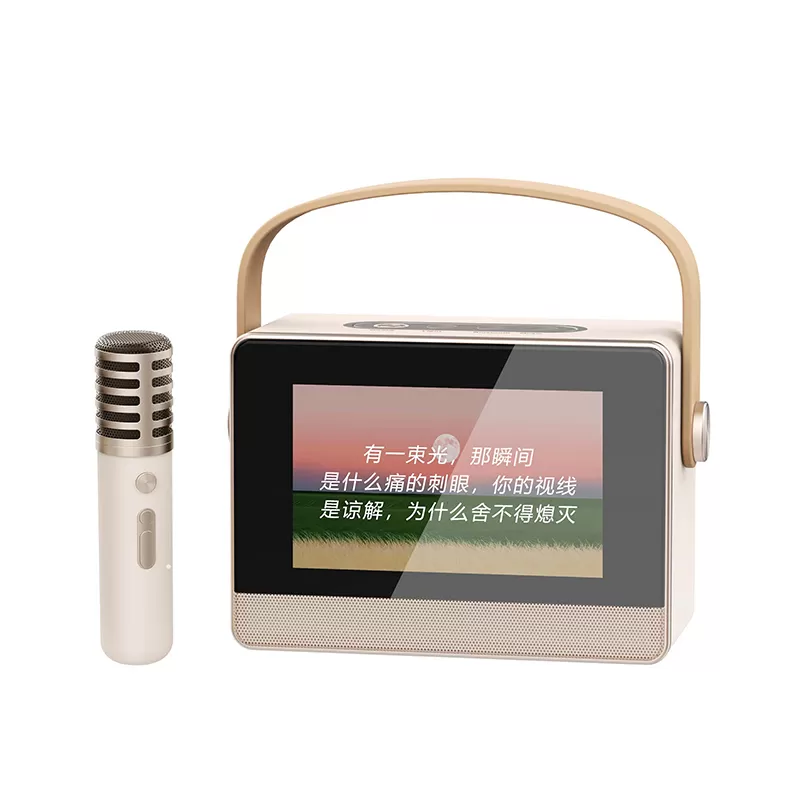 WH-J13 Karaoke With Lyrics Wireless Speaker
