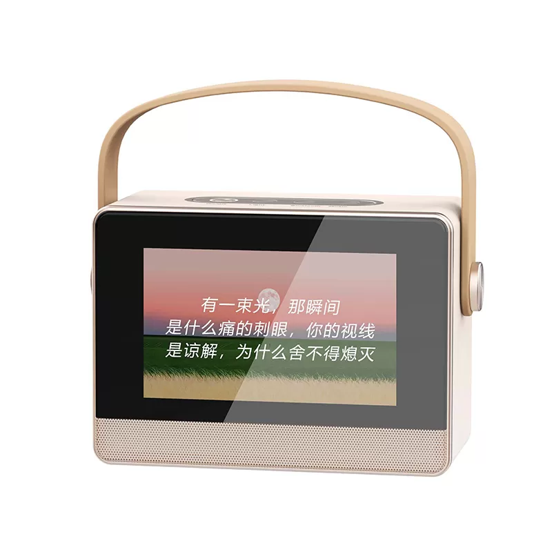 WH-J13 Karaoke With Lyrics Wireless Speaker