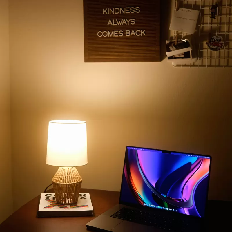 Consumer Electronics