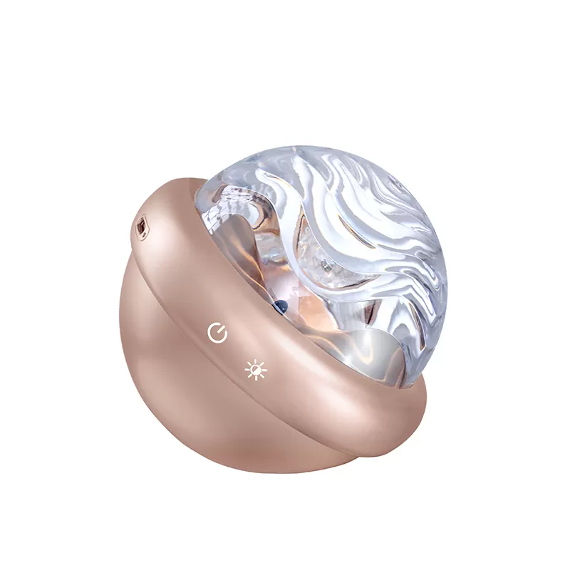 WH-E29 Romantic Rose Projector Light