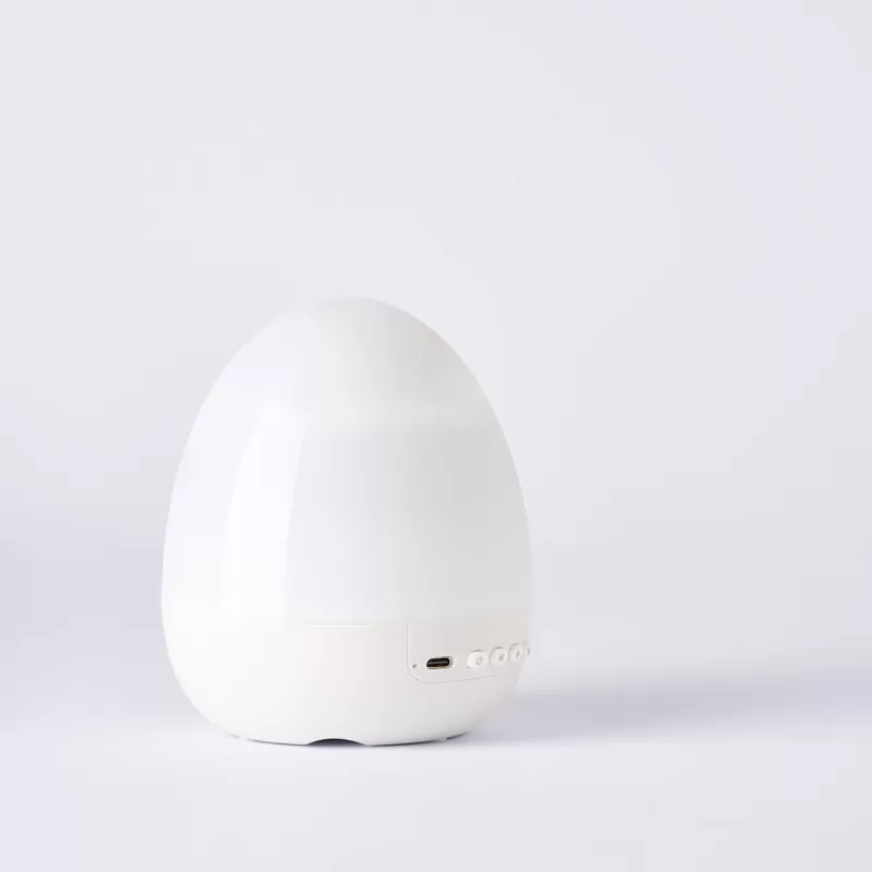 WH-E27-1 Dinosaur Egg Projector Light