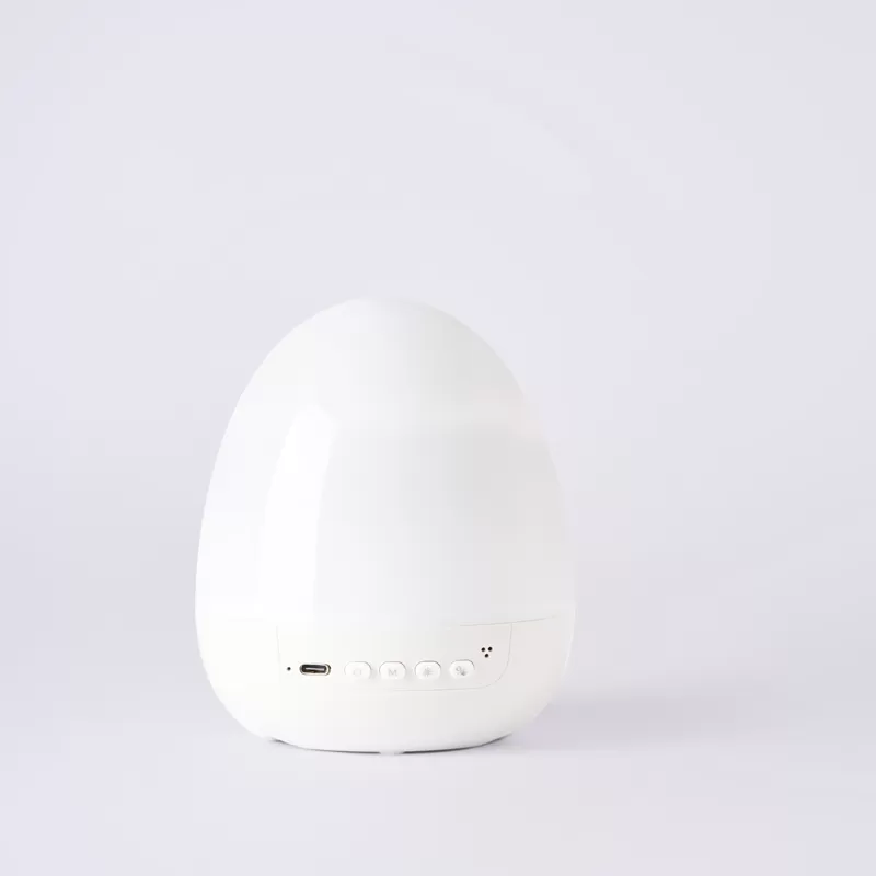 WH-E27-1 Dinosaur Egg Projector Light