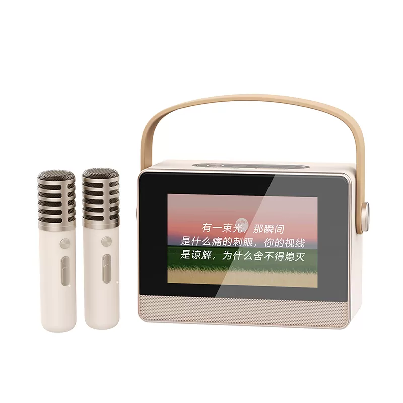 WH-J13 Karaoke With Lyrics Wireless Speaker