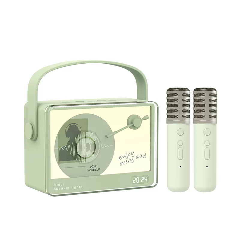 WH-J16 Karaoke Wireless Speaker